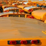 School Bus