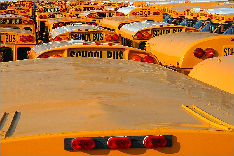 School Bus