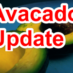 avacado update