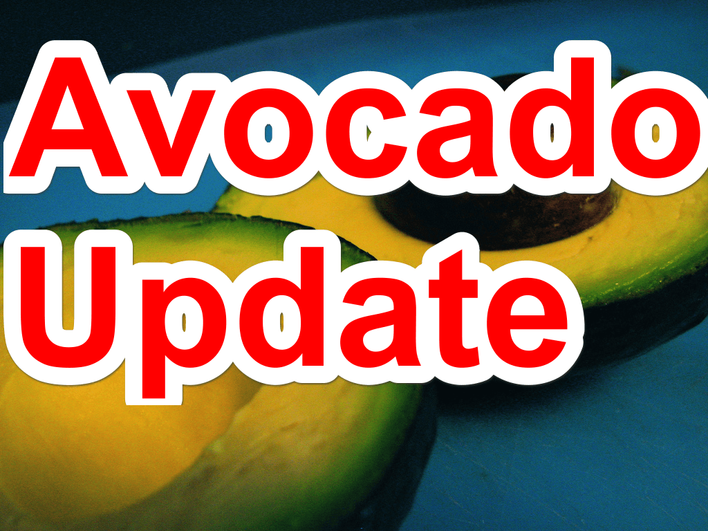 Avocado update