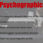 psychographic profile