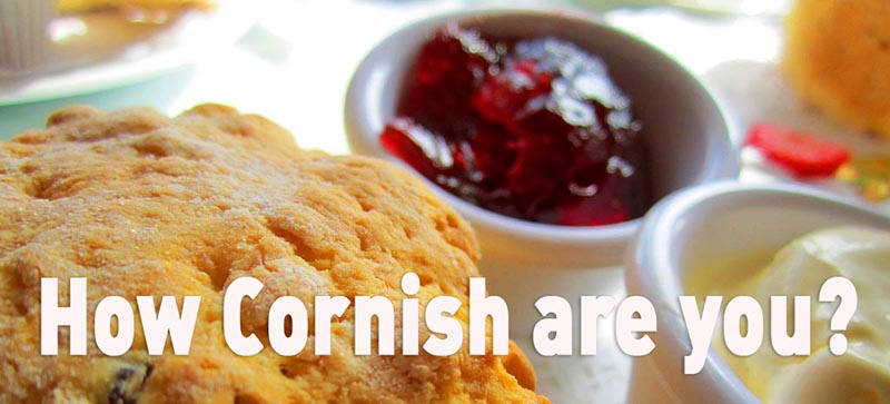 How cornish are you